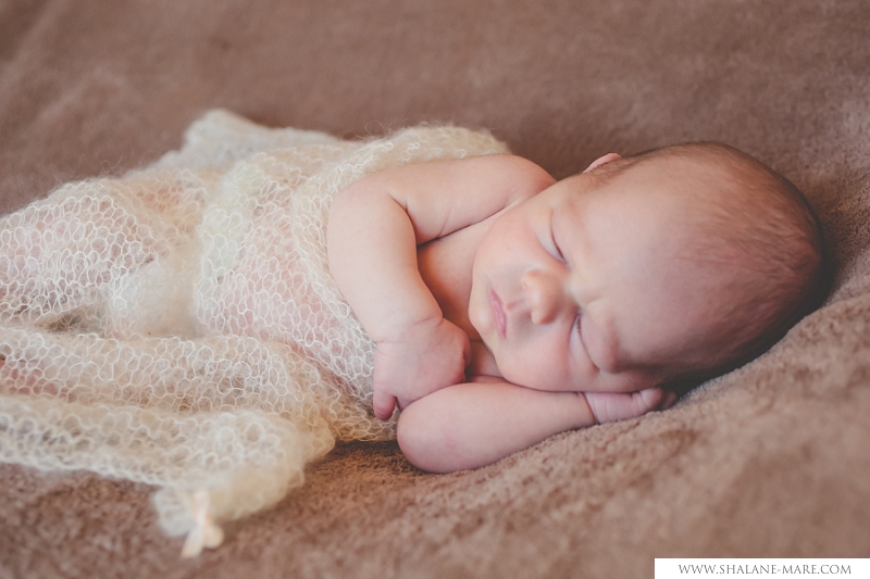 Newborn Photography Centurion 