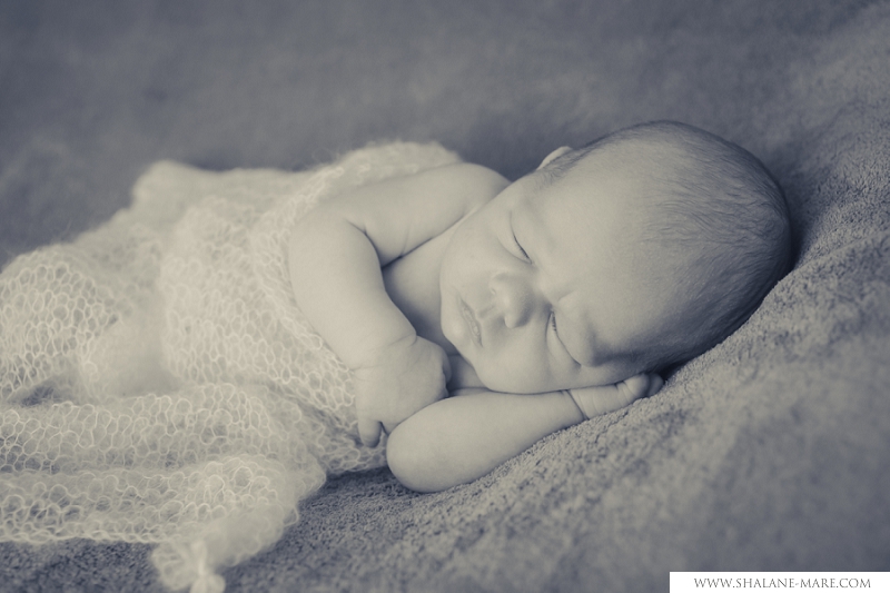 Newborn Photography Centurion 