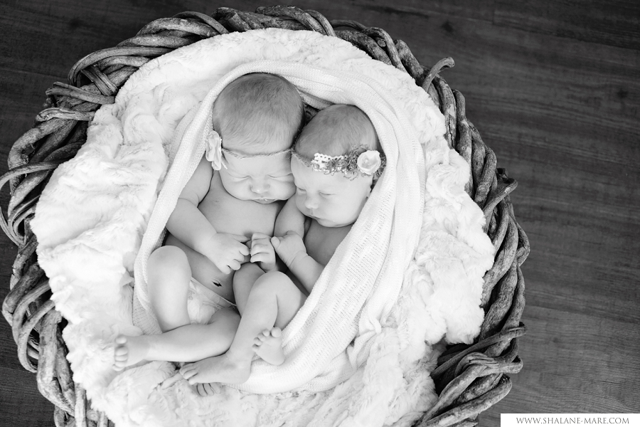 TWIN NEWBORN PHOTOGRAPHER0002