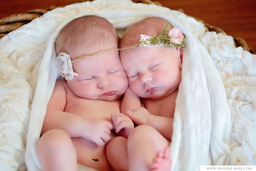 TWIN NEWBORN PHOTOGRAPHER0003