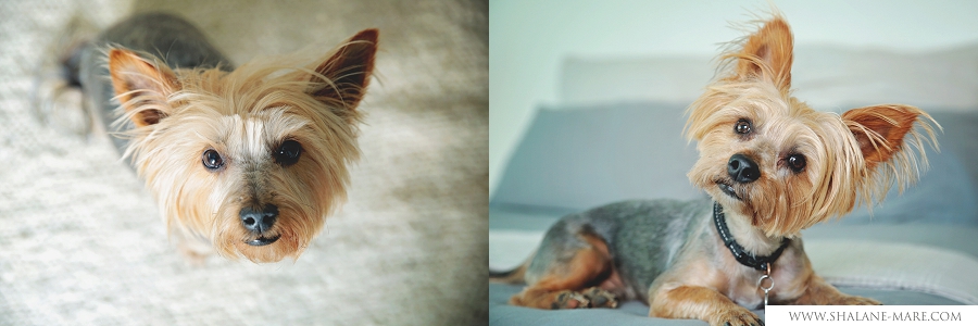 Lifestyle_newborn_photographer0001