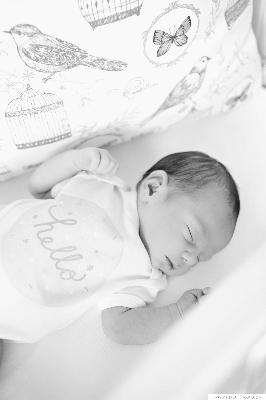 Lifestyle_newborn_photographer0013