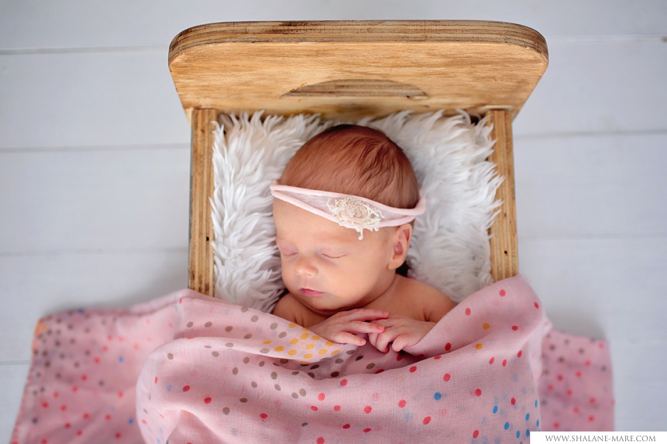 Newborn Photographer