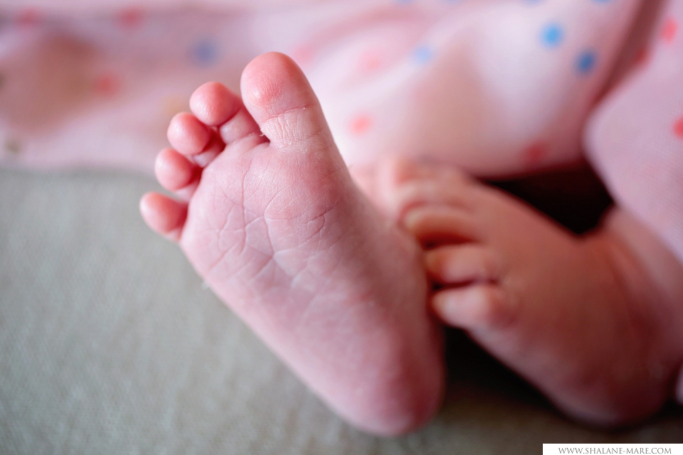 Newborn Photographer Pretoria