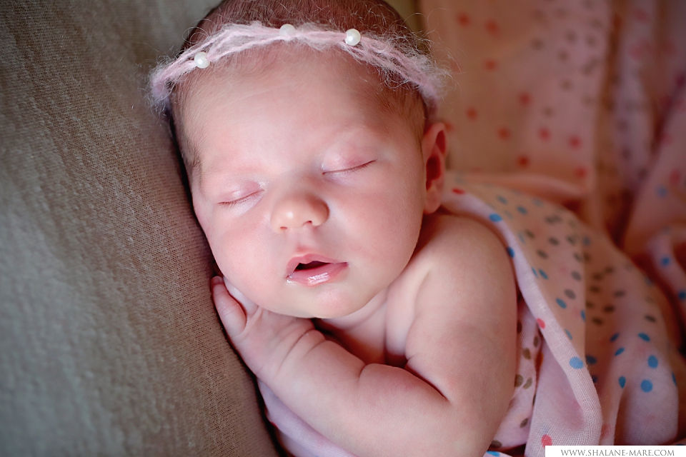 Newborn Photographer Pretoria