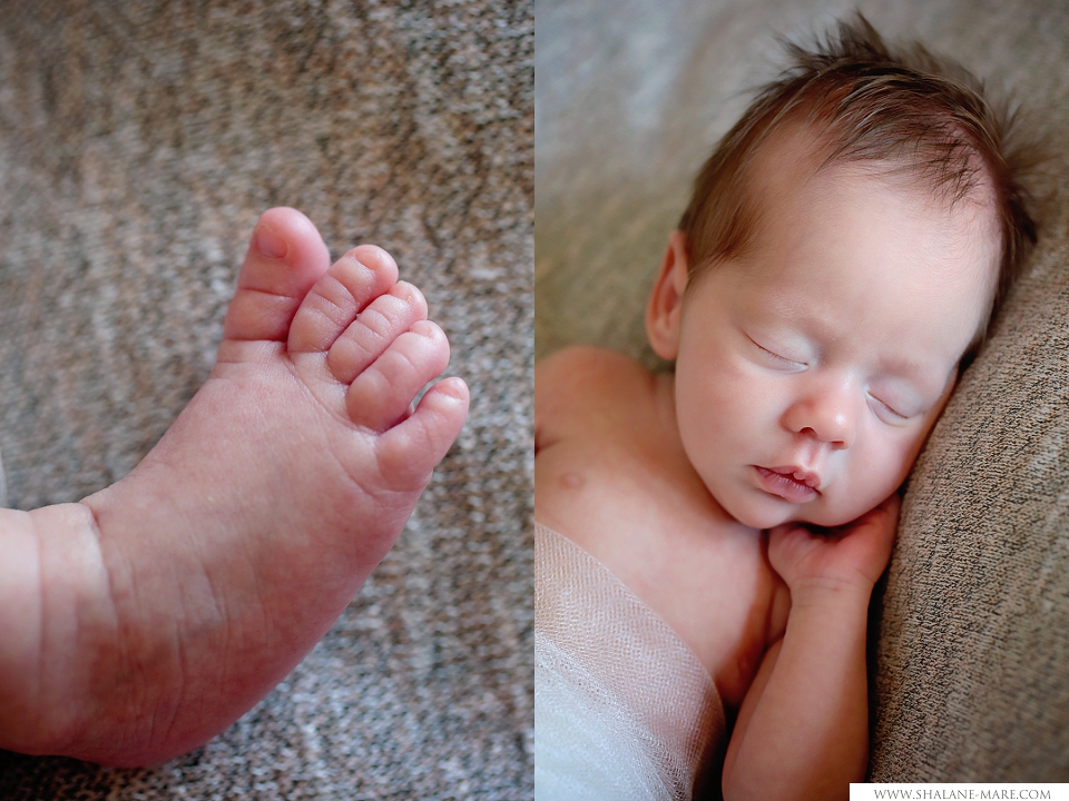 Newborn Portraits