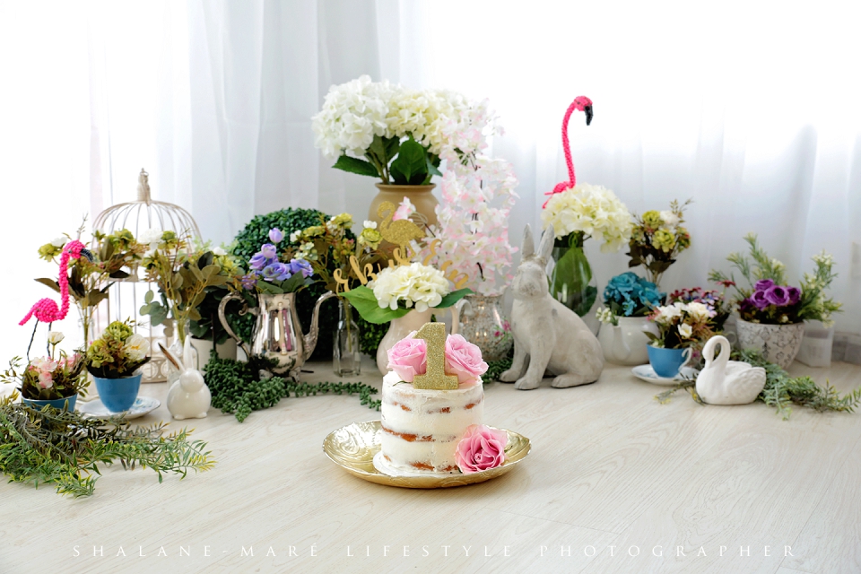 Onederland Cake-Smash Photo Shoot