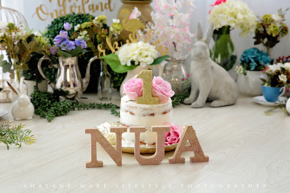 Onederland Cake-Smash Photo Shoot