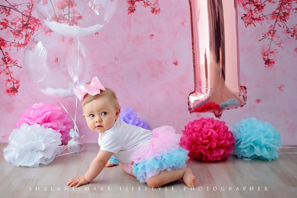 Cake-Smash Centurion